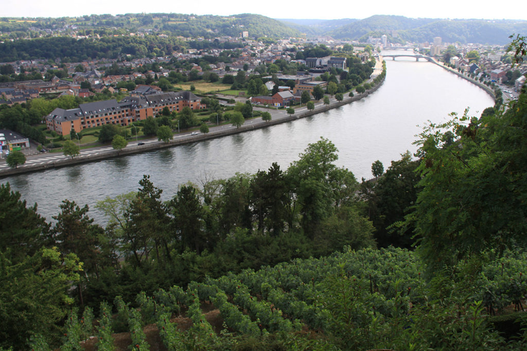 Vue vers Huy et sur la Meuse depuis le vignoble de Jacques Mouton