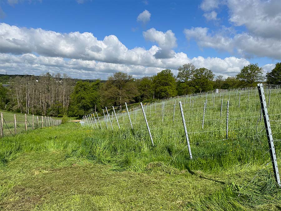 Domaine de Doriémont - © Vanel