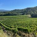 Destination Luberon avec le Domaine Perréal