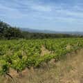 Roussillon : balade dans les Aspres et la vallée de l’Agly (1/2)
