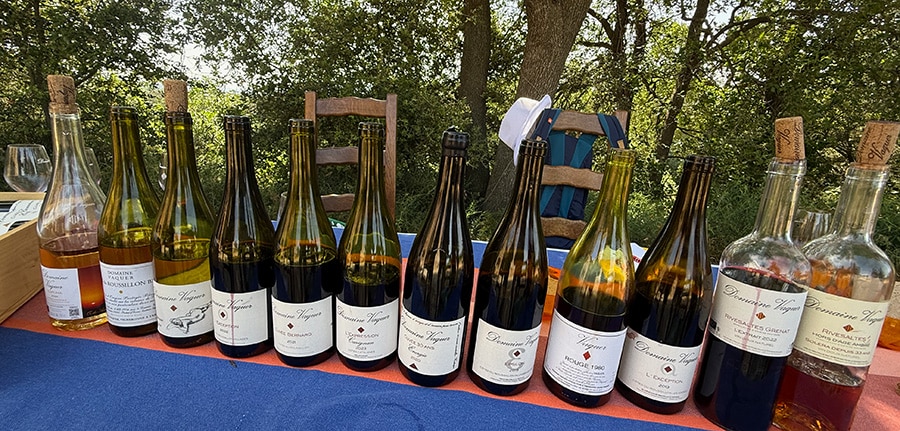 04 vaquer