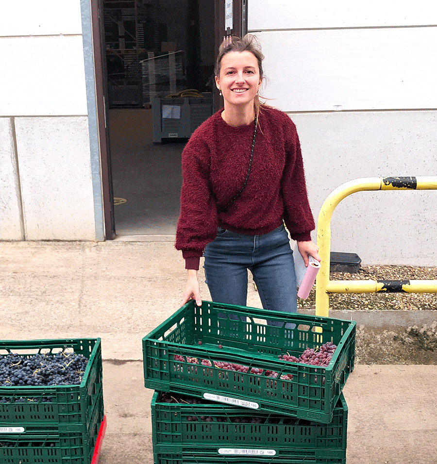 Vicky Everaert - pcfruit