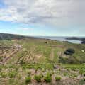 Cap sur la planète “Grenaches du Monde”